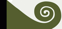 Hundertwasser - Koru Flag